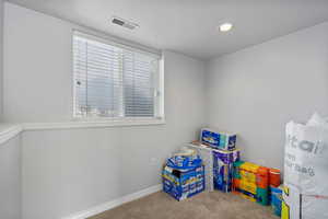 This room is attached to the 4th floor flex space and could be used for a large walk-in closet or den.