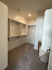 Spacious closet featuring dark carpet