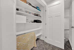 Walk in closet featuring light carpet