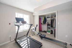 Workout area featuring carpet flooring and a healthy amount of sunlight