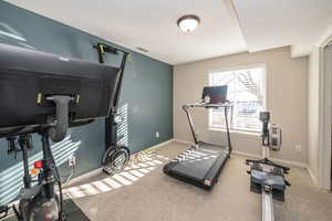 Workout area featuring carpet