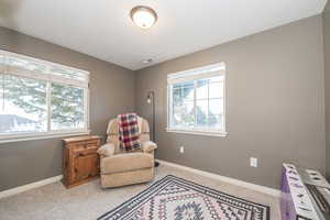 Living area with light colored carpet