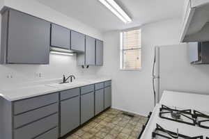 Kitchen with sink, white refrigerator, and gray cabinetry