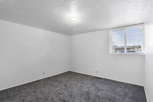 Empty room with dark carpet