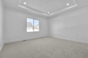 Unfurnished room with a tray ceiling and carpet floors