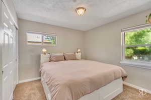 Carpeted bedroom featuring a closet, a textured ceiling, and multiple windows