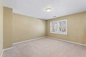 Unfurnished room with light carpet and a textured ceiling