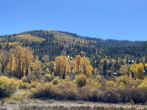 View of mountain backdrop featuring a heavily wooded area