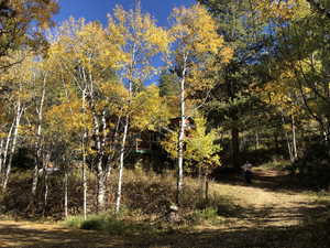 View of nature