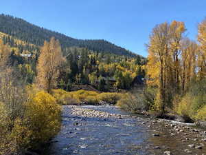Water view with a heavily wooded area and a mountainous background