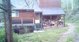 Back of property with log veneer siding, a deck, and a shingled roof