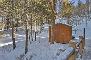 Yard covered in snow featuring a shed