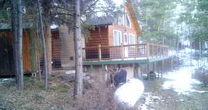 Back of property with a deck and faux log siding