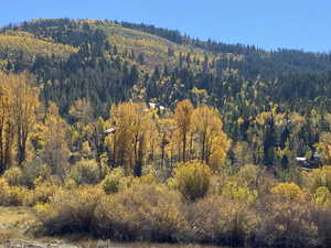 Aerial view of property and surrounding area featuring a forest