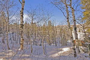 View of snow covered land