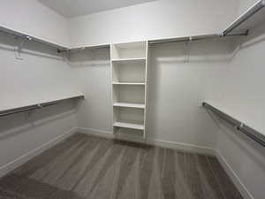 Spacious closet featuring dark carpet