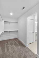 Spacious closet with light colored carpet