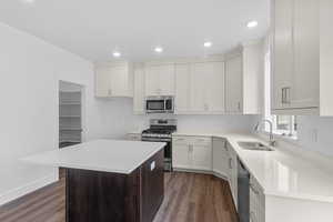 Kitchen featuring white cabinetry, sink, a center island, stainless steel appliances, and dark hardwood / wood-style floors