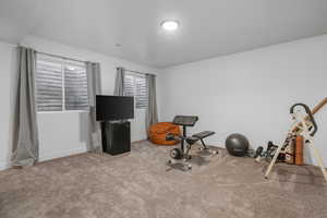 Family room with carpet flooring.