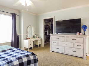 Bedroom featuring a walk in closet, light colored carpet, ceiling fan, multiple windows, and a closet