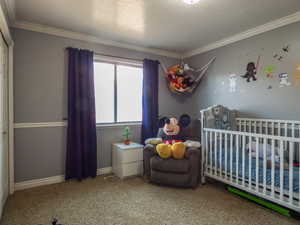 Carpeted bedroom featuring ornamental molding and a nursery area