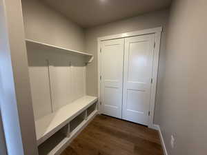 Mudroom featuring dark hardwood / wood-style flooring