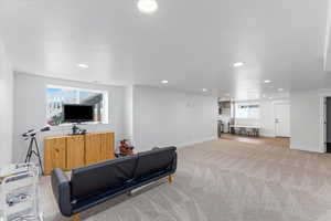 Carpeted living room featuring plenty of natural light