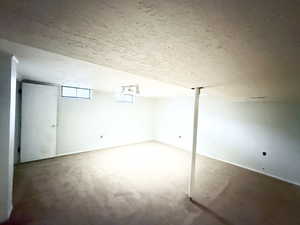 Basement featuring carpet floors and a textured ceiling