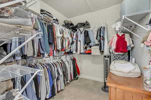 Spacious closet featuring light carpet