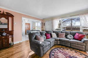 Living room featuring light wood-type flooring and ornamental molding