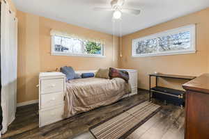 Bedroom featuring ceiling fan, dark wood-type flooring, and multiple windows