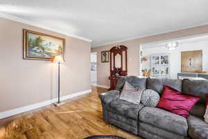 Living room featuring crown molding, a chandelier, and light wood-type flooring