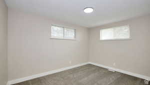 Empty room with carpet and a wealth of natural light