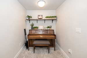 Miscellaneous room with light colored carpet