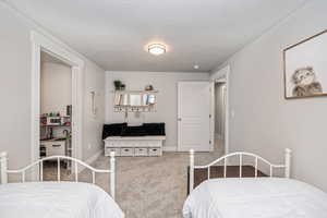 Bedroom featuring carpet floors