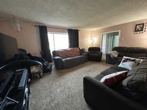 Carpeted living room with a textured ceiling