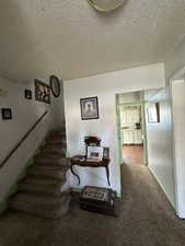 Stairs featuring carpet flooring and a textured ceiling