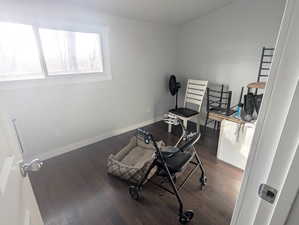 Miscellaneous room featuring dark wood-type flooring