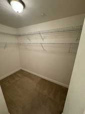 Walk in closet with dark carpet