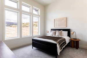 Bedroom with light carpet and multiple windows