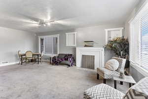 Sitting room featuring carpet, a textured ceiling, and rail lighting