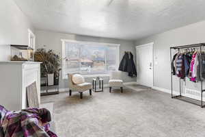 Living area with carpet floors and a textured ceiling