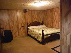 Bedroom with carpet flooring and wood walls