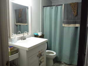 Main Bathroom featuring a shower with shower curtain, vanity, and toilet