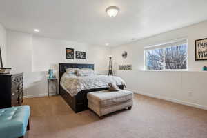 Bedroom with carpet