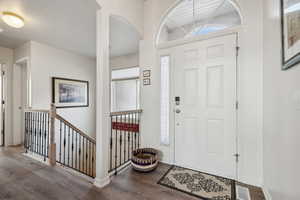 Entrance foyer with dark wood-type flooring