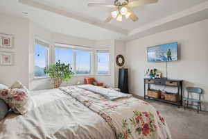 Master Bedroom featuring a raised ceiling, ceiling fan, and carpet floors