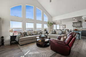 Living room featuring dark hardwood / wood-style LVP flooring and high vaulted ceiling