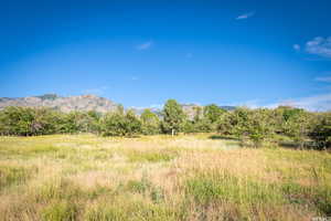 View of nature with a mountain view and a rural view