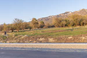 View of mountain feature featuring a rural view